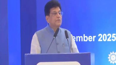 દેશે સ્વીકાર્યું 24 કલાક વીજળીનું ગુજરાત મોડલઃ પીયુષ ગોયલ