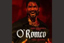 O'Romeo ફિલ્મનું પોસ્ટર જેમાં શાહિદ કપૂરનો ટેટૂ વાળો હાથ અને ખૂંખાર લુક દેખાય છે.