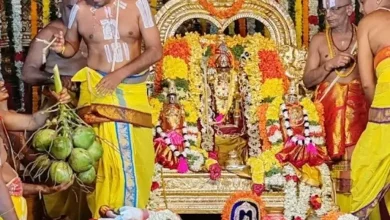 સિમ્હાચલમ મંદિરના પ્રસાદમાંથી મળી આવી ગોકળગાય, વીડિયો વાયરલ થતા વિવાદ સર્જાયો