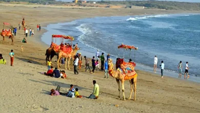 Surti people, get ready! The 'Sunvali Beach Festival' concert will be held on the beach of Suvali from January 9th.