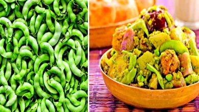 શિયાળો શરૂ થાય તેની સાથે બજારમાં વિવિધ રંગબેરંગી તાજા લીલા શાકભાજી જોવા મળતાં હોય છે. લીલા શાકભાજી ખાવાનો આનંદ શિયાળામાં બેવડાઈ જતો હોય છે. ગુજરાતી ઘરોમાં તો શિયાળાની ખાસ કાગડોળે રાહ જોવાતી હોય છે. કેમ કે શિયાળામાં લગભગ પ્રત્યેક રવિવારે સ્વાદિષ્ટ ઊંધિયાની સોડમ ઘરે ઘરે આવતી હોય છે. વળી મકરસંક્રાંતિના દિવસે તો અચૂક ઊંધિયાની પાર્ટી જોવા મળતી હોય છે. બજારમાં ઠેર-ઠેર સ્વાદિષ્ટ તૈયાર ઊંધિયાની જાહેરખબર જોવા મળે તે નફામાં. જે પ્રત્યેક વ્યક્તિના મનમાં ઊંધિયું ખાવાની તાલાવેલી જગાડતી જોવા મળે છે. આજે તેમાં ઉપયોગમાં લેવાતી કૂણી-કૂણી લીલીછમ સુરતી પાપડી વિશે જાણકારી મેળવીશું.