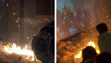 'ધ રાજાસાબ' ફિલ્મના સ્ક્રીનિંગમાં ફેન્સે લગાવી આગ: યુઝર્સે સિવિક સેન્સ પર ઉઠાવ્યા સવાલ