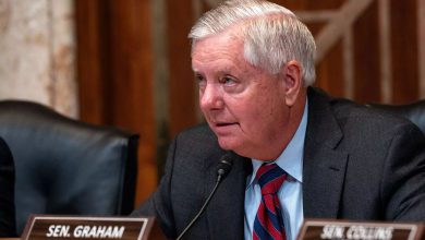 ટ્રમ્પની ટેરિફ ધમકી વચ્ચે અમેરિકન સેનેટરે કર્યો મોટો દાવો: જાણો નવો રિપોર્ટ