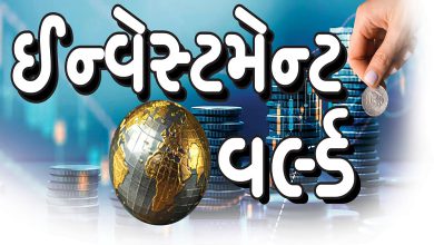 રોકાણકારનો ખરો શિક્ષક છે એની પોતાની ભૂલ!