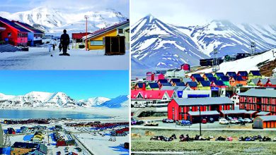 હાં, સચમુચ યહાં મરના મના હૈ! હેં... ખરેખર?! - પ્રફુલ શાહ