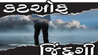 થીજી ગયેલી પળમાં ફફડતા જીવની રોમાંચક કથા `આપણે જેને અસ્પૃશ્ય ગણીએ છીએ આખરે એ સ્પર્શ પણ એક ચમત્કારિક અને અકસીર ઇલાજ છે.' ડો. ત્રિવેદીએ કહ્યું.