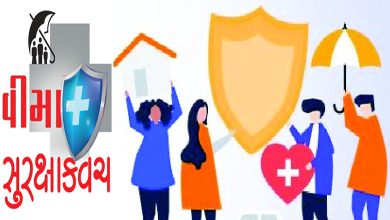 ભારતમાં વીમા ક્ષેત્રે એફડીઆઇની મર્યાદા વધી... આનાથી થશે લાંબા ગાળાના અનેક લાભ