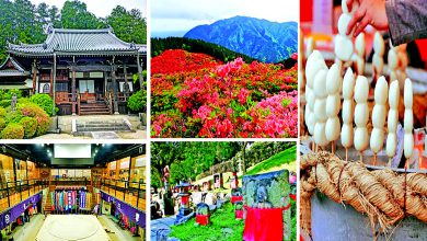 કાત્સુરાગીમાં થોડાં ફૂલો ને થોડાં સુમો...