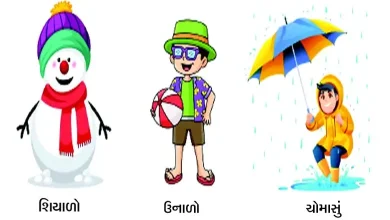 Health Express: How seasonal changes affect health