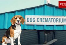 Ahmedabad Pet Dog Crematorium opens for cremation of pet dogs