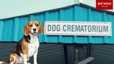Ahmedabad Pet Dog Crematorium opens for cremation of pet dogs