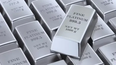 પ્લેટિનમ અને સોનાની ધાતુની આયાત પર સરકારી પ્રતિબંધ દર્શાવતી પ્રતિકાત્મક તસવીર.