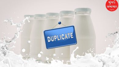 Sabarkantha Salal village Duplicate milk factory busted four accused arrested