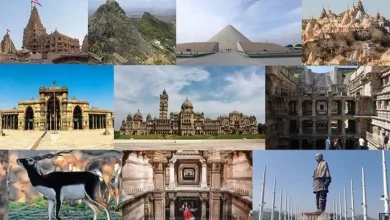 પર્યટકોનું પ્રિય ગુજરાત, વિદેશી પર્યટકોને આકર્ષવામાં ત્રીજા ક્રમાંકે