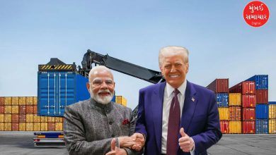 ભારત અને અમેરિકાના ધ્વજ સાથે ટેક્સ્ટાઈલ ઉદ્યોગ અને રૂ (કપાસ) ના જથ્થાની પ્રતિકાત્મક તસવીર.