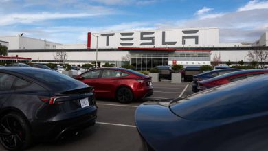 Why did Indian-origin Raj Jagannath resign from Elon Musk's Tesla?