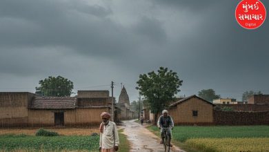 Mawatha enters Gujarat in the month of 'Maha', changes in the atmosphere in Mahisagar and Panchmahal