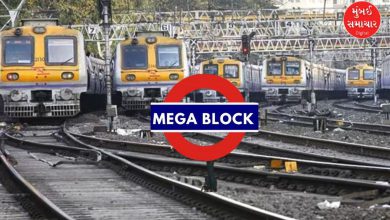 મુંબઈ લોકલ ટ્રેન અને રેલવે ટ્રેક પર મેગા બ્લોક દરમિયાન ચાલી રહેલું સમારકામ.