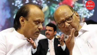 દેવેન્દ્ર ફડણવીસ અને અજિત પવાર વચ્ચેની રાજકીય ચર્ચા દર્શાવતી તસવીર.