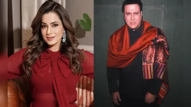 ગોવિંદા-નીલમ વચ્ચેના અફેર અંગે મોટો ખુલાસો