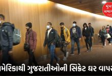 મિનેસોટાથી મહેસાણા સુધી ફફડાટ, ડિપોર્ટેશનના ડરે ગેરકાયદે રહેતા ગુજરાતીઓનો ચૂપચાપ વતન વાપસી
