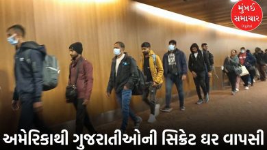 મિનેસોટાથી મહેસાણા સુધી ફફડાટ, ડિપોર્ટેશનના ડરે ગેરકાયદે રહેતા ગુજરાતીઓનો ચૂપચાપ વતન વાપસી