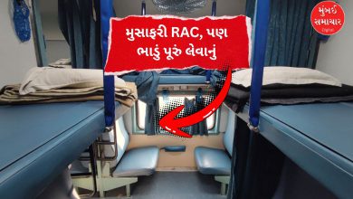 ભારતીય રેલવે ટિકિટ અને ટ્રેનમાં મુસાફરી કરતા મુસાફરોની પ્રતીકાત્મક તસવીર.