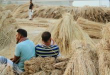 Bales of raw jute stacked in a warehouse awaiting processing.