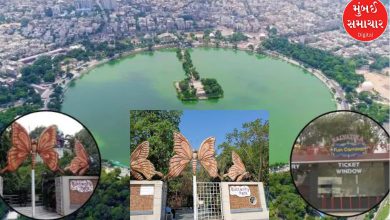 Now you will have to spend less money to visit the Wax Museum and Butterfly Park, ticket prices will be reduced