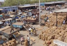 Gujarat state government hold elections 09 APMC term of 15 APMC extended