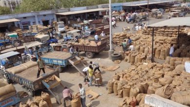 Gujarat state government hold elections 09 APMC term of 15 APMC extended