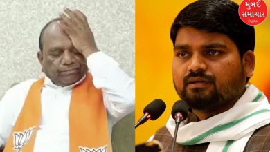 Mansukh Vasava is 'Bol Bachchan', always remained 'silent' on tribal community issues: Chaitar Vasava's attack