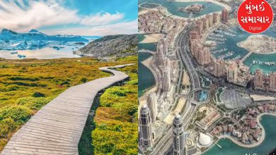 Talking about countries in the world where there is no sign of trees, know where the oxygen comes from in these countries without trees...