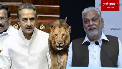 Asiatic lions in Gir National Park habitat under forest department protection.