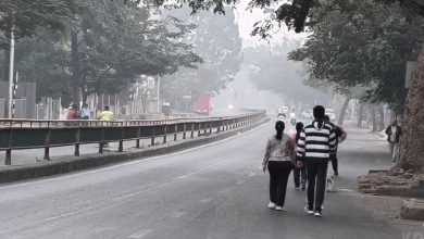 Cold wave eases in Gujarat! Temperature crosses 18 degrees in many cities; 12 degrees in Naliya too