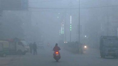 વેસ્ટર્ન ડિસ્ટર્બન્સની અસર: ફેબ્રુઆરીની શરૂઆતમાં ગાઢ ધુમ્મસ બાદ હવે ઝાપટાંની આગાહી