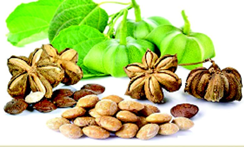 The benefits of harde horseradish... How beneficial is harde (haritki powder) horseradish for the skin...