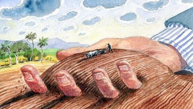 Official building of Jamnagar Mamlatdar Office where the land grabbing complaint was filed.