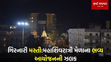 Mahashivratri Fair 2026: 140 water points and more than 20 parking facilities - Happy Water-Cheese Festival!