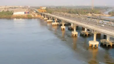 Emergency services and police at a bridge over a creek in Thane after a jumping incident