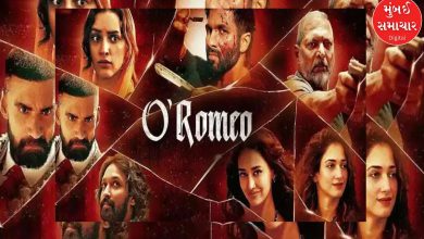 If that superstar had not passed away, Shahid Kapoor would never have gotten the role of 'Hussain Ustra'!