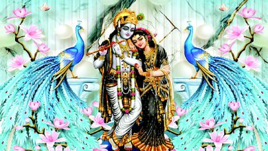 શ્યામ સમીપેઃ રાધાનું પાત્ર કૃષ્ણકથામાં ક્યારે વણાઈ ગયું?