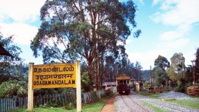 Why are railway station boards always yellow? 99 percent of people don't know, know the scientific reason behind this...