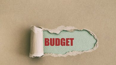 Budget: These two finance ministers of independent India could not present the budget, know the reason