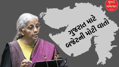 Union Budget 2026: Know what Gujarat got? What was the big announcement?