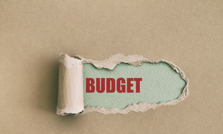 Budget: આઝાદ ભારતના આ બે નાણા પ્રધાન નહોતા રજૂ કરી શક્યા બજેટ, જાણો કારણ…